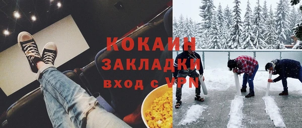 индика Беломорск