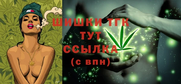 индика Беломорск