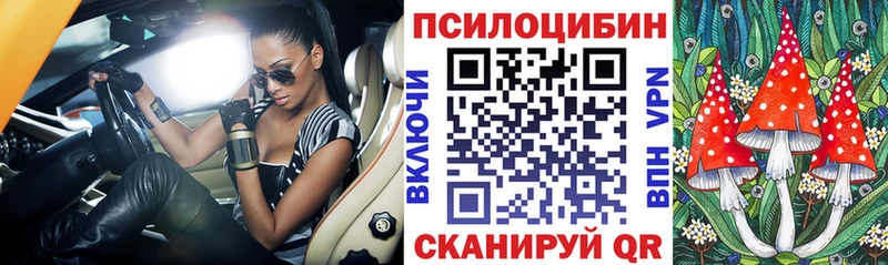 Псилоцибиновые грибы Magic Shrooms  OMG онион  Болхов 