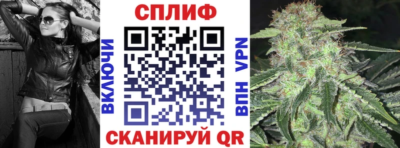 где можно купить наркотик  Болхов  МАРИХУАНА Bruce Banner 